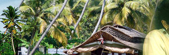Ayurveda and Backwaters of Kerala