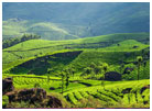 Munnar